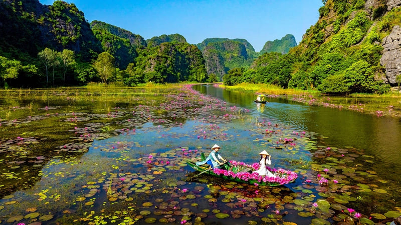 Tam Coc in the lotus season