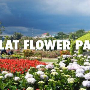 Da-Lat-Flower-Park-festival