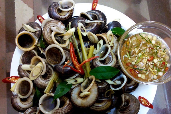 Ninh Binh mountain snail - a special food in Ninh Binh