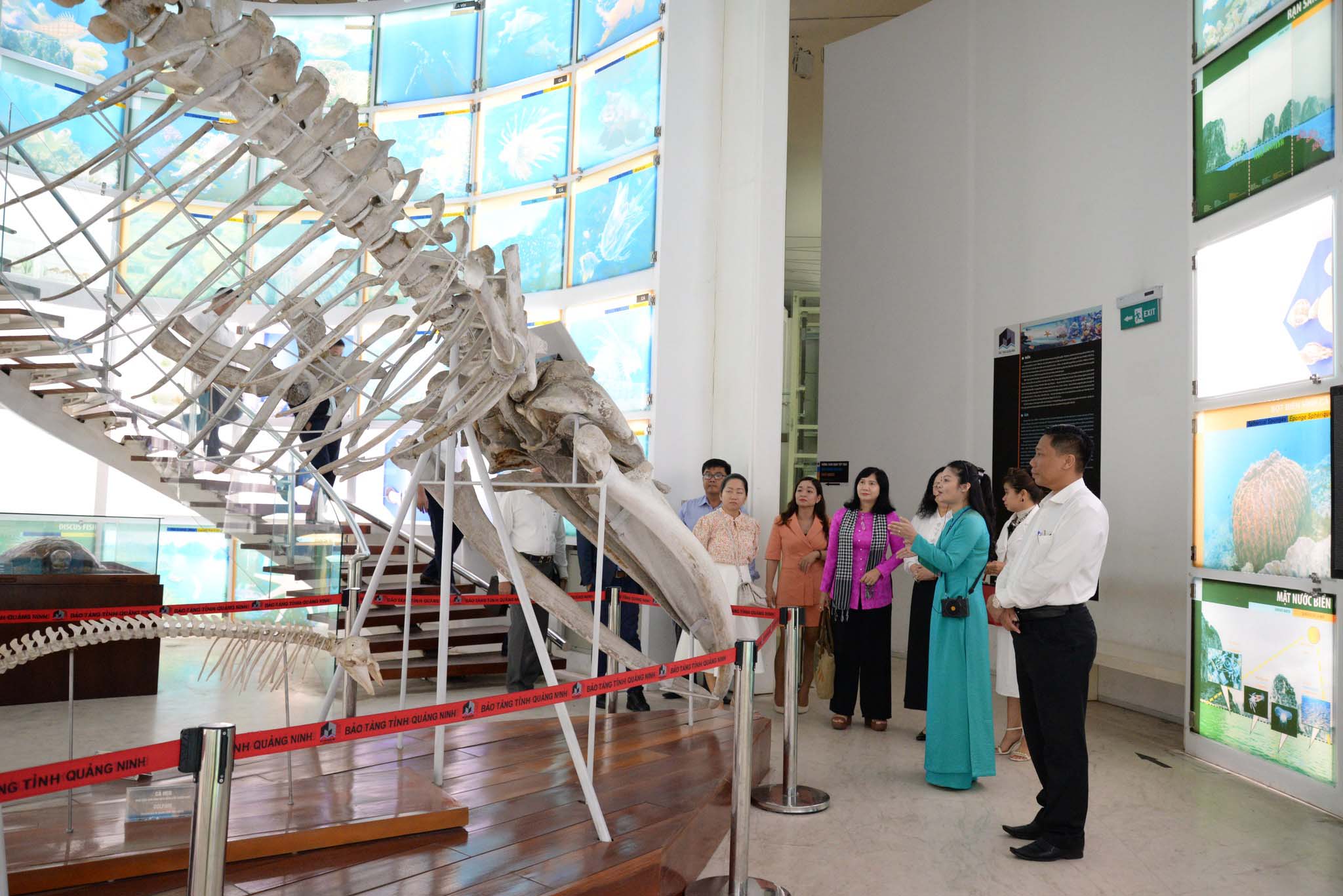 Quang Ninh Museum - Halong 1 day tour