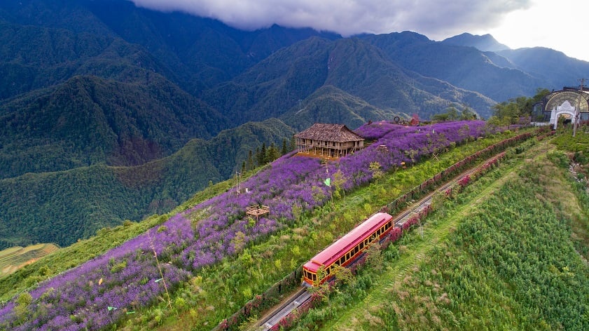 Muong Hoa Valley