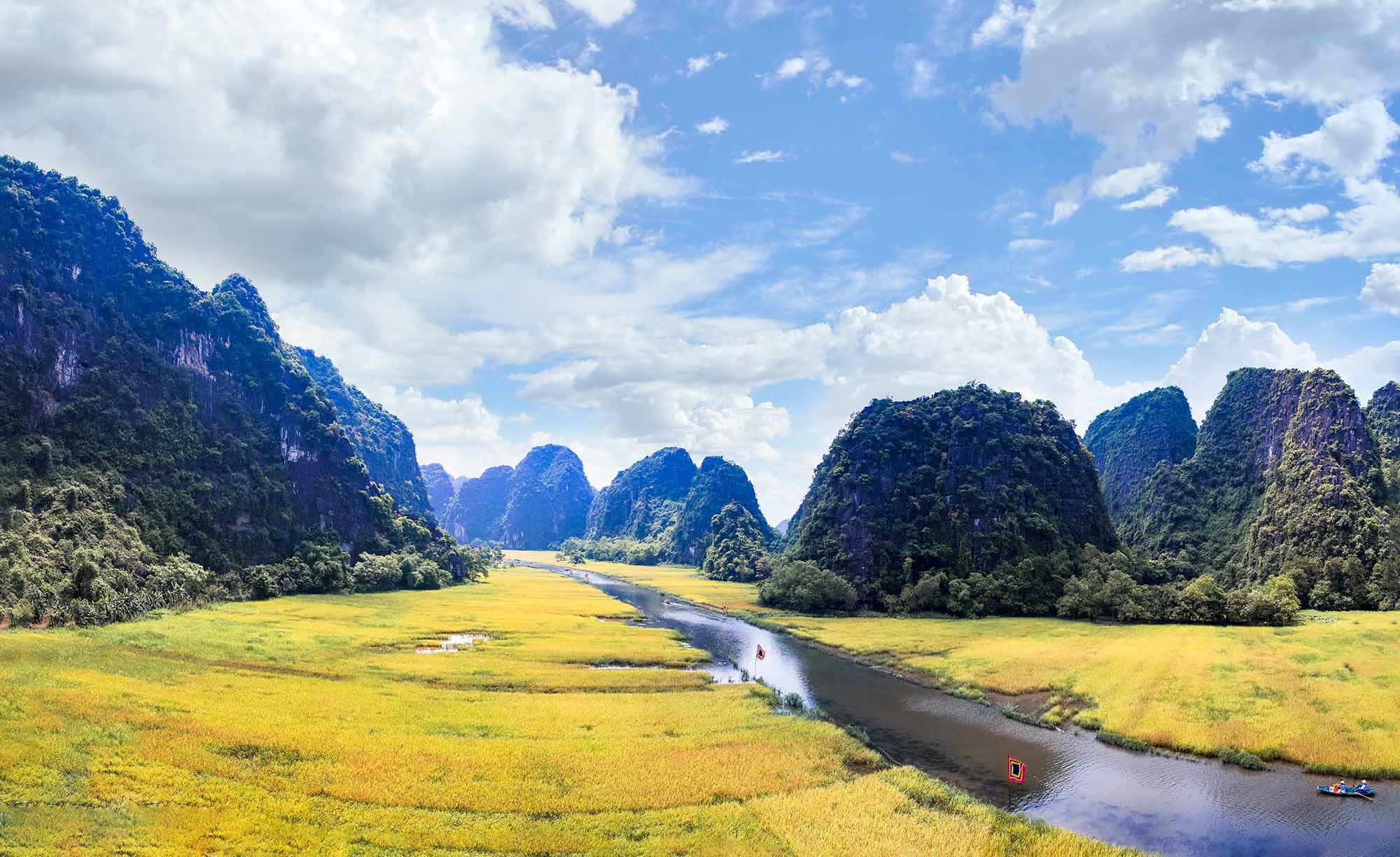 Rice fields in Tam Coc - Bich Dong