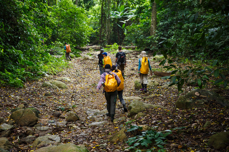 Tourists trekking in Cuc Phuong National Park