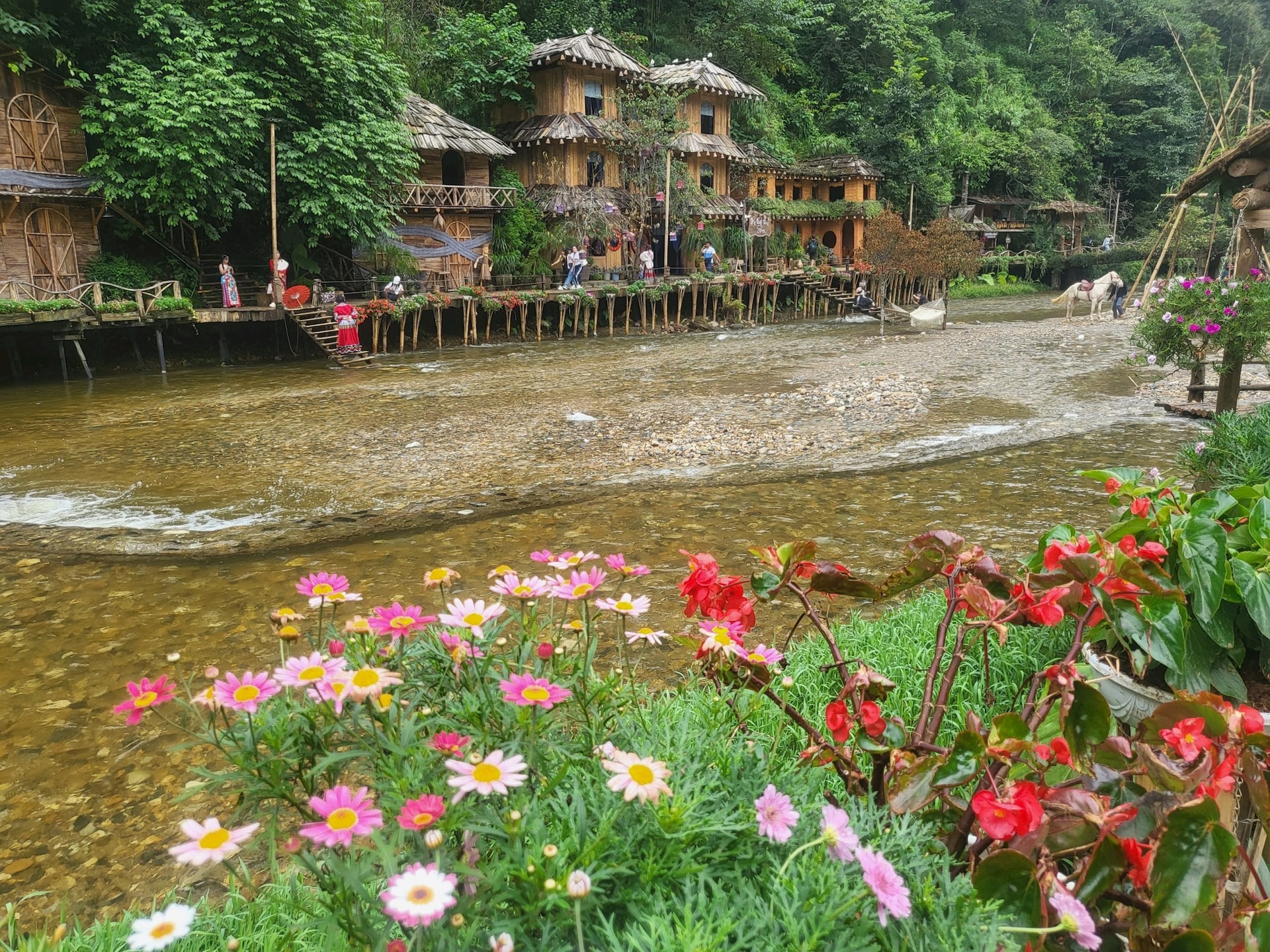 Cat Cat Village in Spring