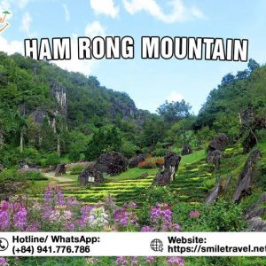 Ham Rong Mountain Sapa