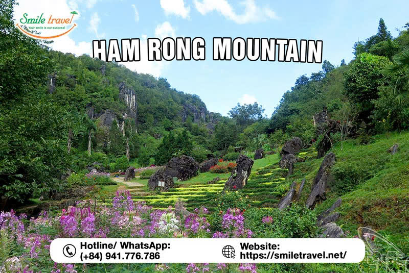 Ham Rong Mountain Sapa