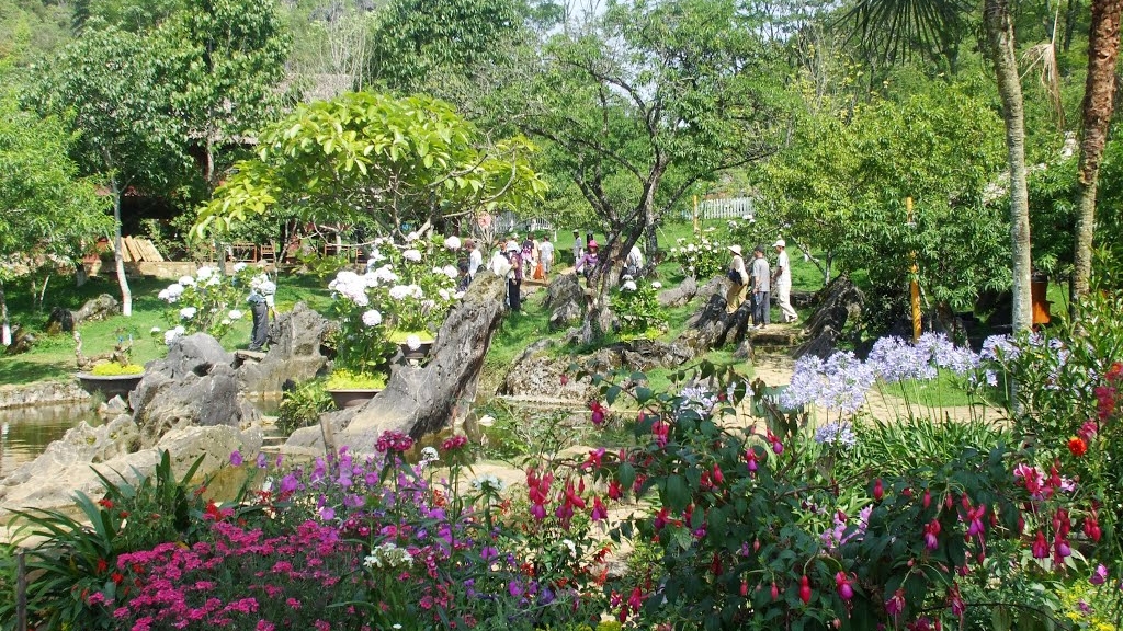 Ham Rong flower garden is so beautiful