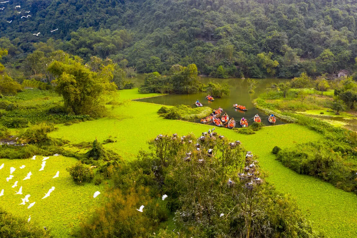 Majestic scenery of Thung Nham bird garden