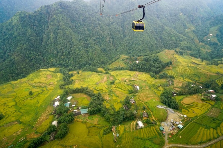 Terraced fields in Sapa from above