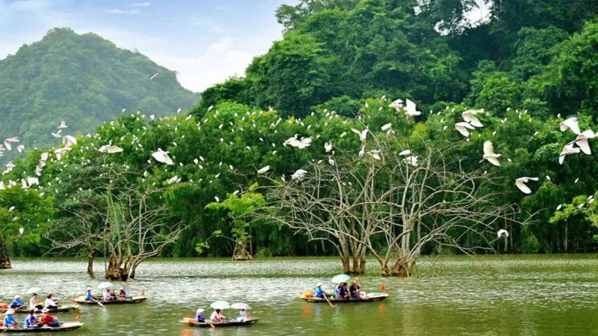 Thung Nham - the land of birds