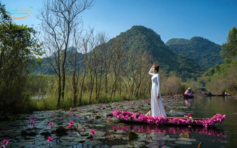 Yen Stream in Lily water flower season