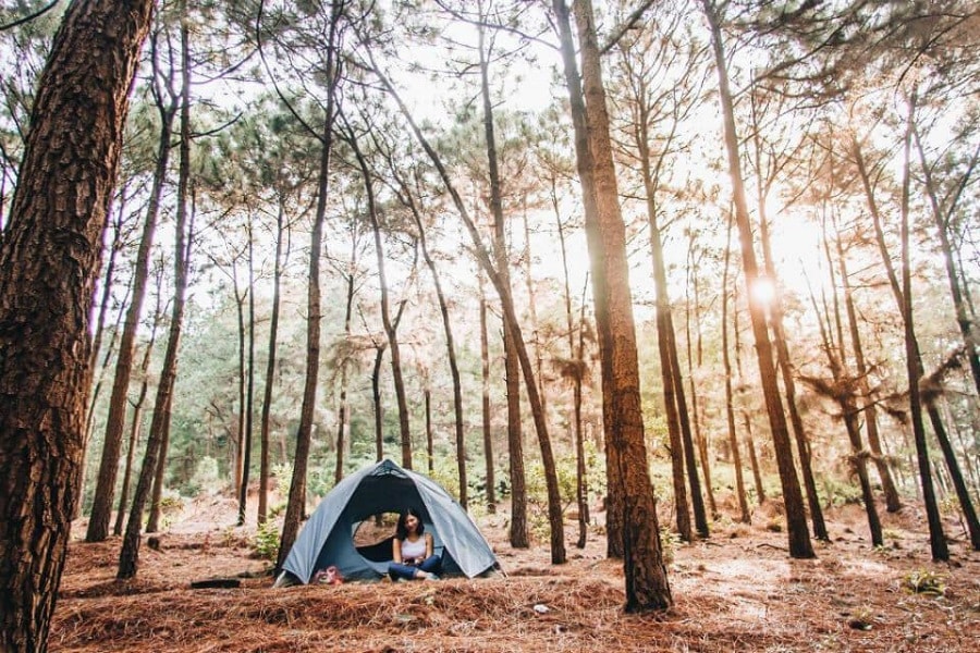 Camping at Yen Minh Pine Forest