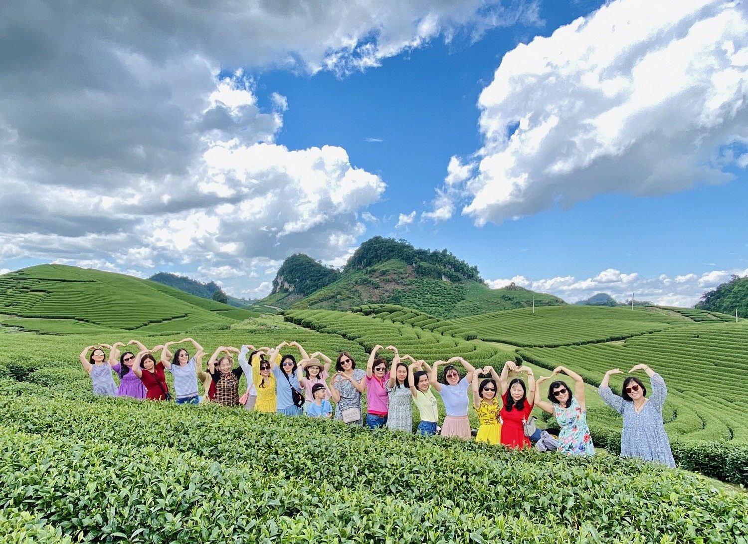 Check-in at Moc Chau Heart-shaped tea hill