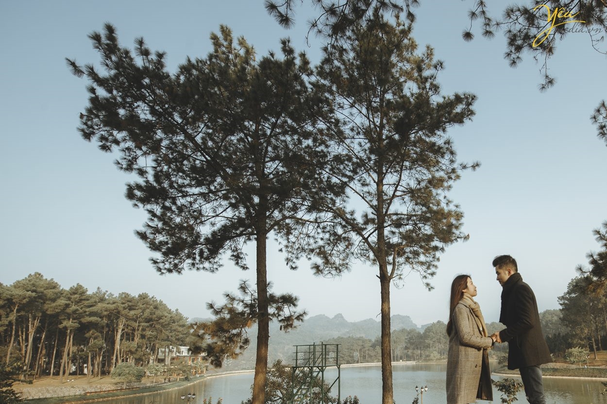 Couple check-in at the pine forest