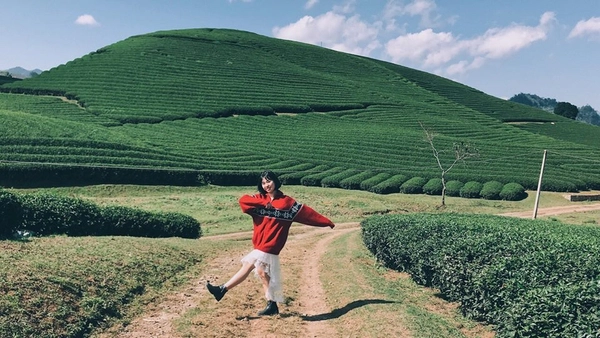 Explore Moc Chau Plateau