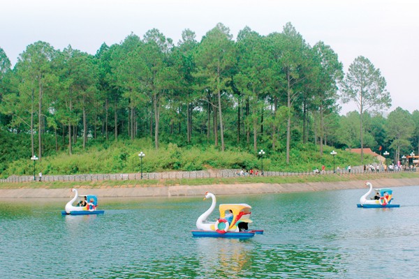 Play duck riding on the lake in Ban Ang pine forest