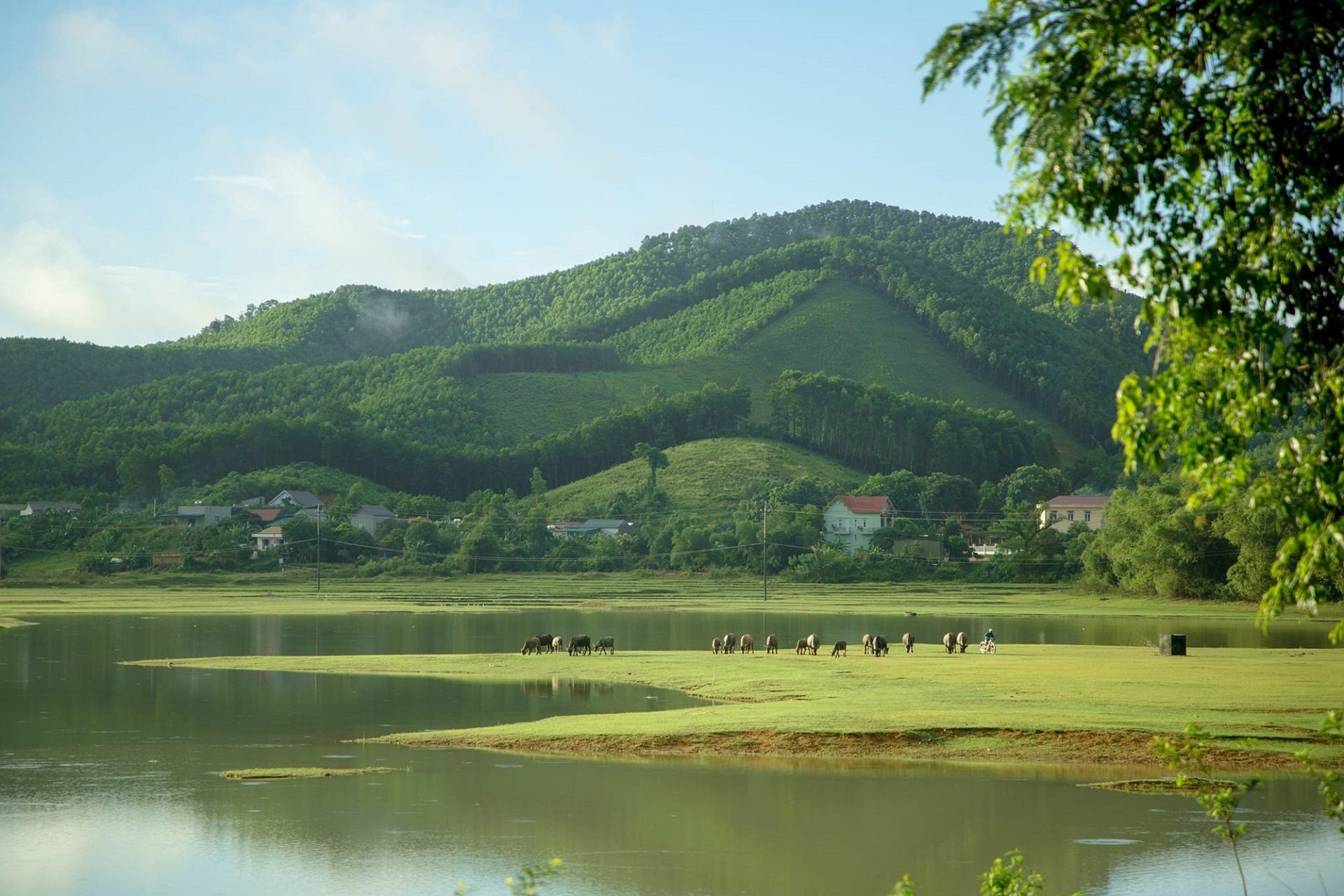 The beauty of Ben En National Park