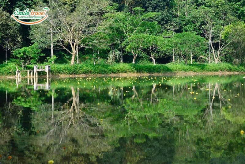 Visit Cuc Phuong National Park with 2 days 1 night Ninh Binh tour