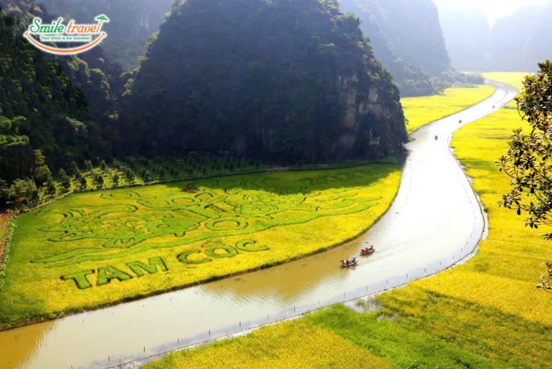 Admire Tam Coc in the ripe rice season with 2 days 1 night Ninh Binh tour