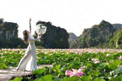 The lotus lake in Hang Mua is in full bloom