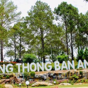 Ban Ang Pine Forest