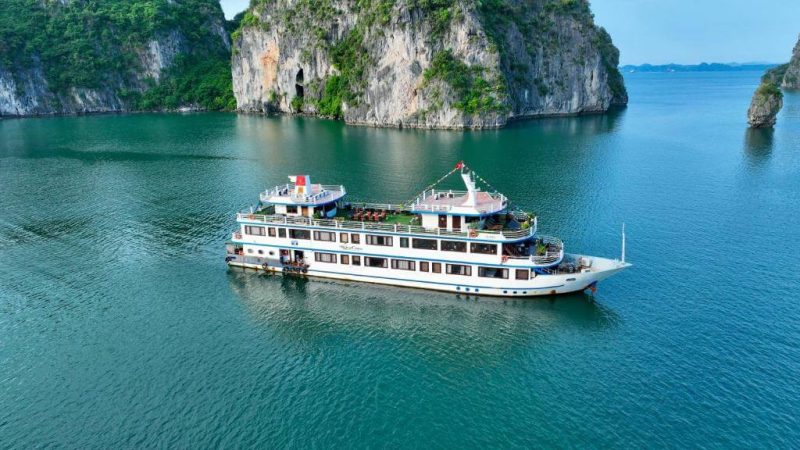 Swan cruise