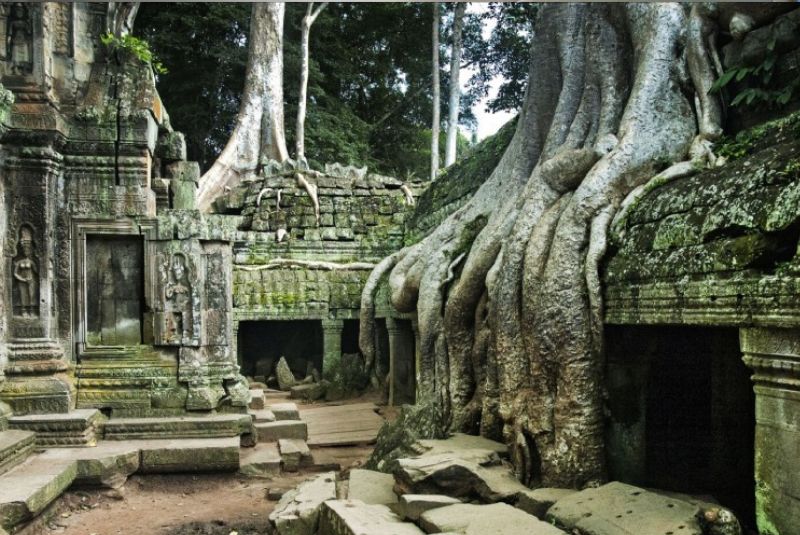 Ta-prohm-temple-Angkor-wat-cambodia-smiletravel Ta-prohm-temple-Angkor-wat-cambodia-smiletravel