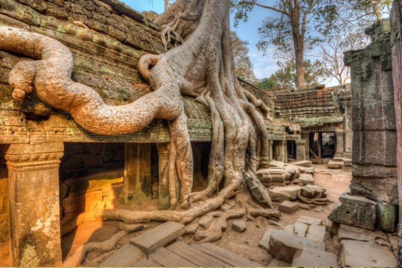 Ta Prohm Ta Prohm