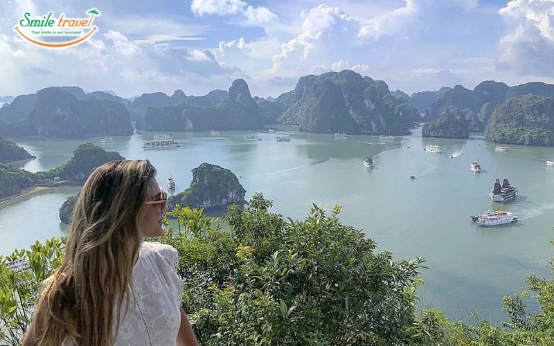 The view of Halong Bay from Titop Island