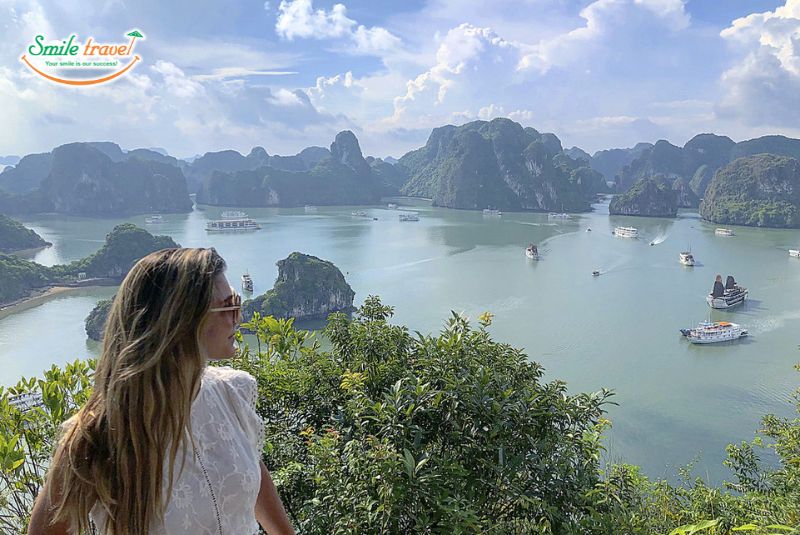 Admire the panoramic view of Halong Bay from Titop Island Admire the panoramic view of Halong Bay from Titop Island
