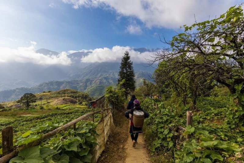 Customize your 11 days tour in Vietnam Customize your 11 days tour in Vietnam
