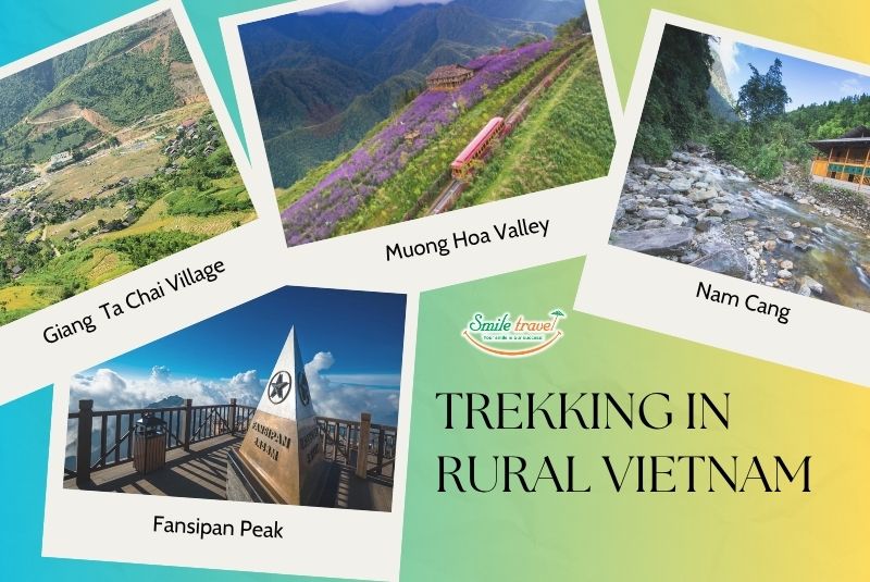 Walk through the rice fields and hidden roads that only locals know Walk through the rice fields and hidden roads that only locals know