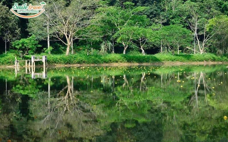Visit Cuc Phuong National Park with 2 days 1 night Ninh Binh tour