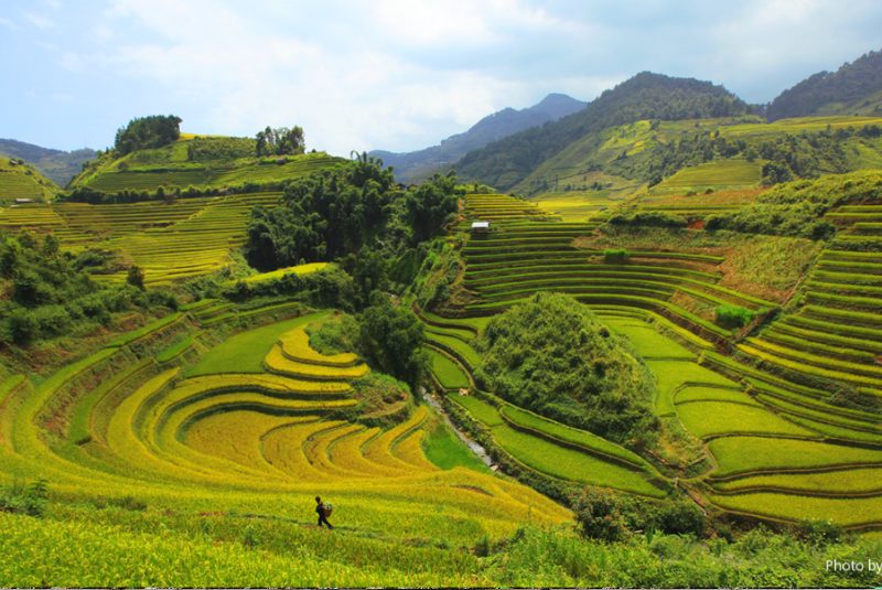 Pu Luong Nature Reserve is considered "a miniature Northwest" of Thanh Hoa Pu Luong Nature Reserve is considered "a miniature Northwest" of Thanh Hoa