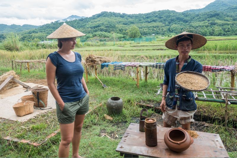 Visit a community based living rice farm Visit a community based living rice farm