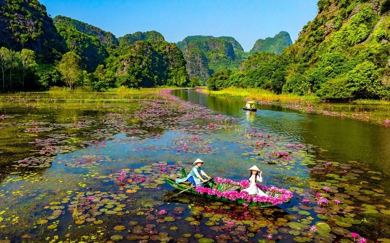 Tam Coc in the lotus season