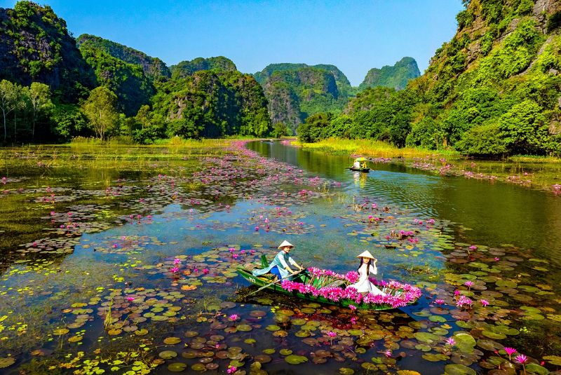 Tam Coc in the lotus season Tam Coc in the lotus season
