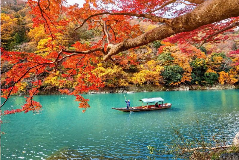 Japan is flooded with brilliant red in the fall Japan is flooded with brilliant red in the fall