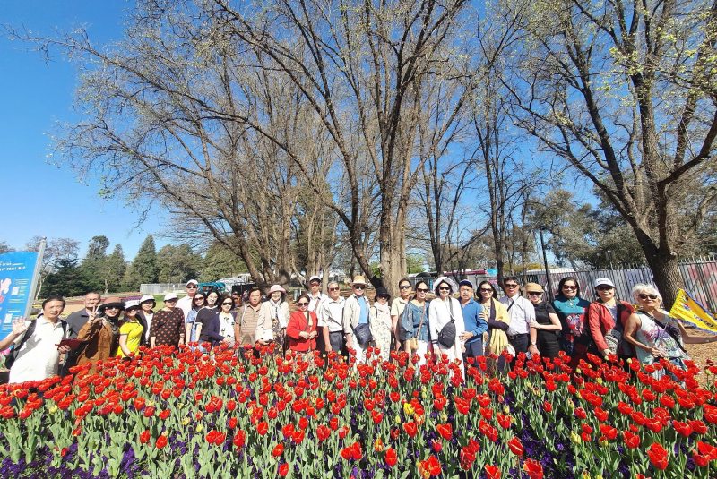 Vietravel has been organizing many different tours, such as Sydney - Melbourne - Dandenong - Yarra Valley Vietravel has been organizing many different tours, such as Sydney - Melbourne - Dandenong - Yarra Valley