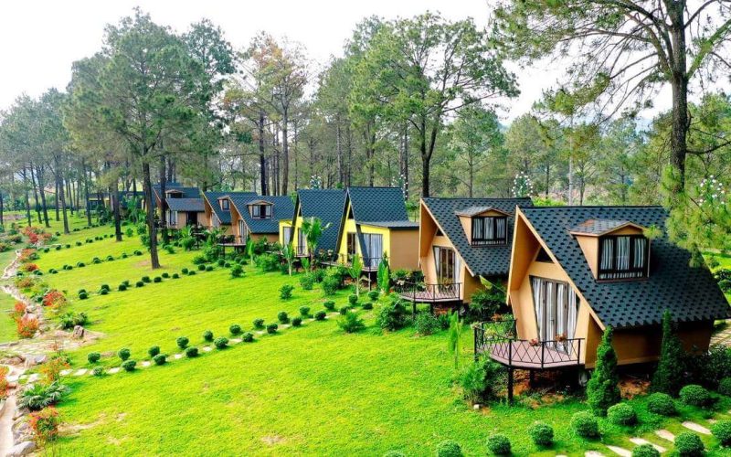 Ban Ang pine forest