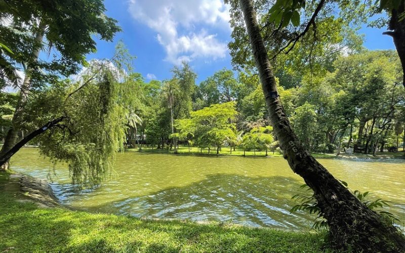 Botanical garden