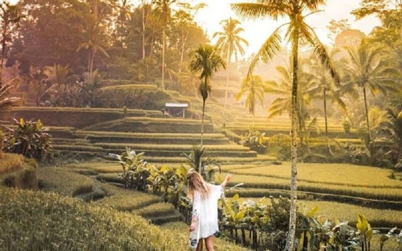 Lang Ubud Bali