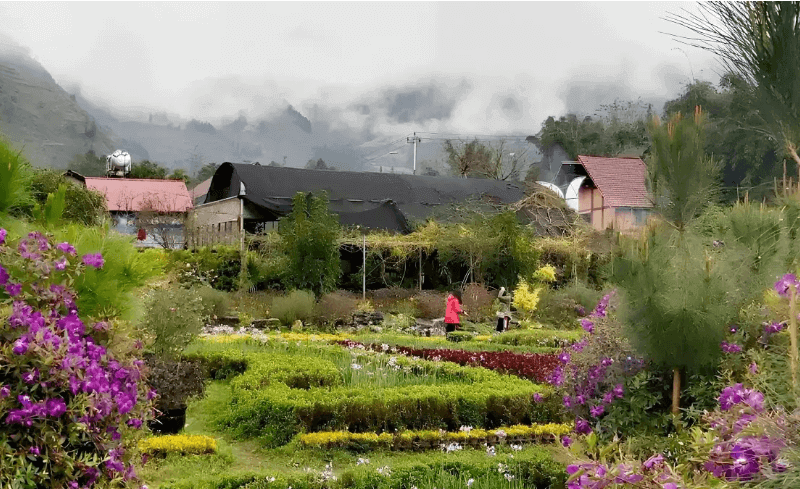 Thai Giang Pho Flower Valley