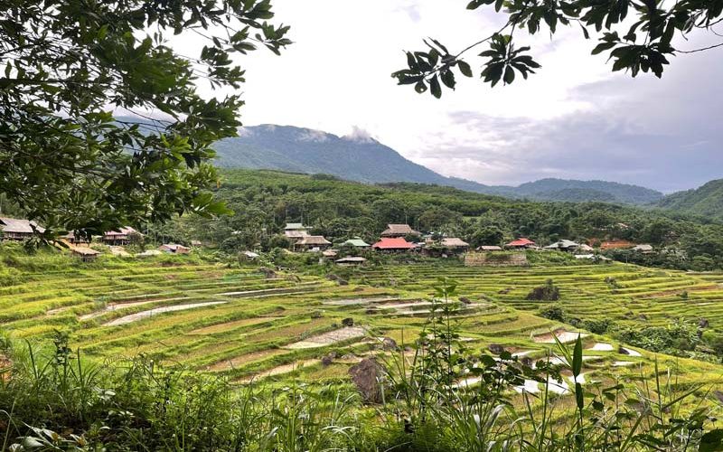 Puluong View