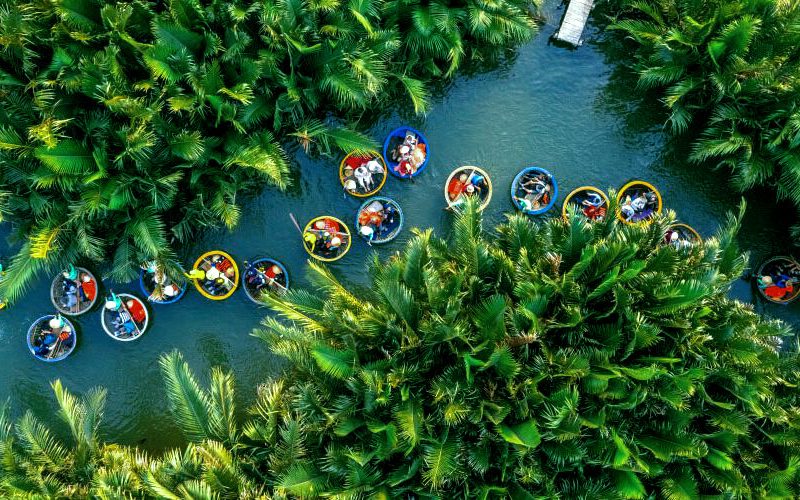 Bay Mau Coconut Forest