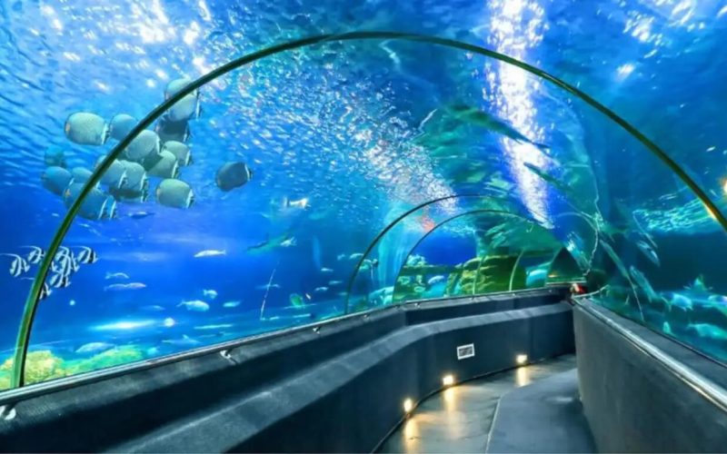 Institute of Oceanography