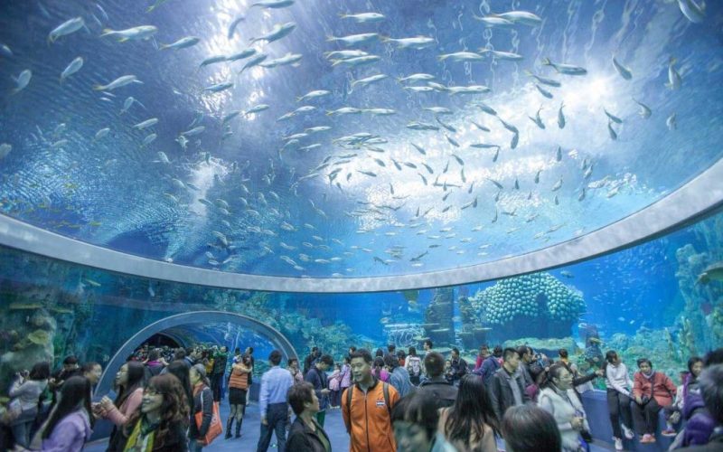 Nha Trang Institute of Oceanography