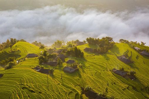 Terraced fields – Hoang Su Phi