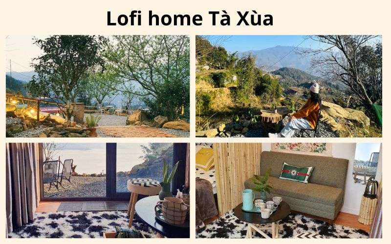 Lofi home in Ta Xua cheap