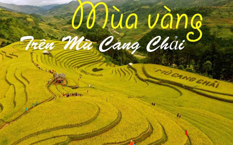 Mu Cang Chai